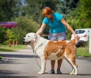 АК НУККЕР УРШУДЖИ